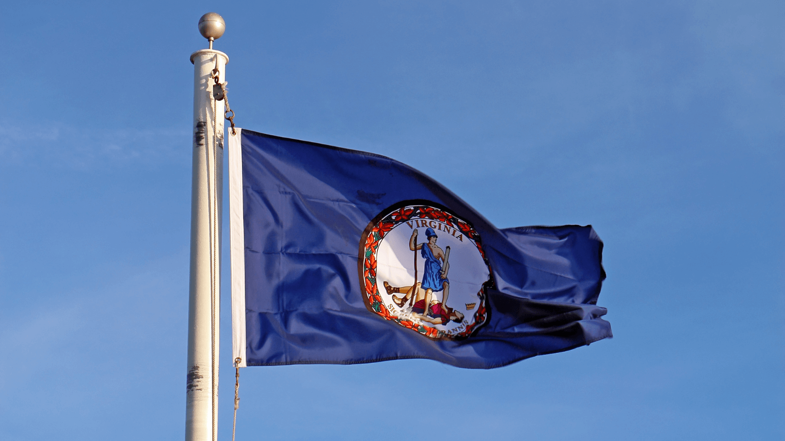 VA Flag